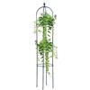 Generic Traliccio in metallo, di supporto per piante, 550 g, struttura in ferro stabile, accessorio da giardinaggio per arrampicata e giardinaggio, organizer per fiori in vaso, rose, decorativo, per