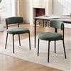 Relbiety Set di 2 Sedie da pranzo industriali in Chenille Verde | Sedie Cucina Moderne,con schienale,Design Mid-Century,Gambe in Metallo,Per Sala da pranzo,Soggiorno,Camera da letto