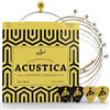 BELFORT Corde Chitarra Acustica 011 - Muta da 6 + 4 Plettri + Corda Mi | Muta da 6 corde .011 per chitarra acustica e western, 4 plettri, corda Mi extra, eBook inclusi. Bronzo fosforoso.
