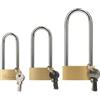 QBXMY7 3 lucchetti lunghi con chiavi per esterni, lucchetti per capannone con chiavi, ad arco lungo, resistenti, ad alta sicurezza, per capannone da giardino, magazzino, garage, cancello, 30 mm/40 mm/50 mm