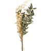 Rayher Mazzo di fiori secchi, verde pino, 18-20cm, bus.blis. 1pz, 85491430