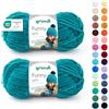 Gründl Funny Uni Lana ciniglia 2 gomitoli da 100 g, Turchese scuro | filato ciniglia morbido e spesso - lana ciniglia per uncinetto e maglia - coperte e accessori - 100% poliestere