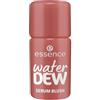 essence water DEW SERUM BLUSH Fard in crema 3.5 ml Nr. 30 - Rose Mood