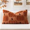 Artscope 1 Pezzi Zucca Federe in Lana Corta Velluto Copricuscini Morbido Decorativo autunnale Fodere per Cuscino Lusso per Divano Camera da Letto Zucca a Bordo Arancione Scuro 30x50 cm