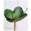 artplants.de Kalanchoe Artificiale STAMATIA, Verde, 20cm, Ø17cm | su Gambo - Calancola Finta