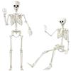 Moerstar Scheletro Halloween, 90 cm Decorazioni Halloween Scheletro Grande con Giunti Mobili per Decorazioni Feste Casa Interno Esterno Giardino