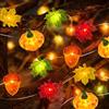 DIELOVEHUA Catena Luminosa Zucca Foglie Acero Ghianda, Catena Luminosa per Autunno, 3 Metri 30 LED con Batteria, per Decorazioni Ringraziamento Halloween Natalizie Autunno