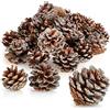 COM-FOUR® 30x Pigne con glitter color argento, pigne come decorazione | decorazione coni con glitter - decorazione natalizia da cospargere