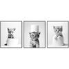 Dazzlewall Set di 3 Pezzi Quadro Bagno Animali Carini, Poster in Bianco e Nero con Volpe Tigre Cucciolo di Gatto e Carta Igienica per Toilette Bagno 20×25 cm Senza Cornice