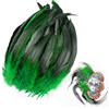 Ezydka 100 piume di gallo, 20-25 cm, piume decorative, piume di fagiano, piume naturali, piume di fagiano, piume di fagiano, piume grandi per decorare maschere da festa, verde