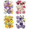 HattusaShield 69 Pezzi Fiori Secchi Naturali, Misti Pressati Fiori Secchi Set per Decorazioni DIY Scrapbooking Resina Gioielli Fatti a Mano