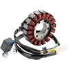 EVEKHAHHRB Statore Bobina Per Kymco Per Bet Per Win Per Yup 250 Per Win250 Per Yup250 2000 2001-2004 2005 2006 2007 31120-KHE7-90A D406 Generatore Statore