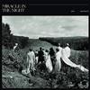 John Southworth Miracle in the Night (Vinyl LP) 12" Album