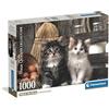 Clementoni - Puzzle 1000 Pezzi per Adulti e Ragazzi, Collection, Tema Lovely Kittens, con Poster Incluso, Compact Box, Idea Regalo Uomo e Donna, Made in Italy, 70x50 cm, 39943