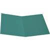 Alevar Cartellina Semplice in Cartoncino Pannosa 145 gr, Formato 25x34 cm, Colore Verde, Confezione da 100 Pezzi