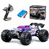 Ledovan Auto telecomandata, 1:16, 50 km/h, 4WD All Terrain, fuoristrada, telecomando monstertruck da 2,4 GHz, per adulti, motore a spazzola di carbonio, viola, 1 batteria