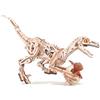 ROKR 3d puzzle in legno Raptor Dinosaur