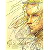 NUOVO libro d'arte originale El Shaddai HEAVENS GATE
