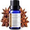 Orantus Olio essenziale Anice Stellato 10 ml Puro. Naturale Al 100% Per Aromaterapia e Diffusore