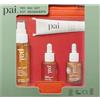Pai Skincare - Try Pai Kit Scoperta | Detersione, idratazione lenitiva & luminosità, rosa canina estratta a CO2, certificati COSMOS, vanity case ricaricabile