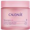 Caudalie Resveratrol-Lift Crema Tisana della Notte, Anti-Rughe, 50ml | Multi-peptidi d'uva pro-collagene e resveratrolo, distende e rimpolpa la notte, vegan, pelli sensibili