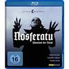 Arthaus / Studiocanal (PLAION PICTURES) Nosferatu - Phantom der Nacht