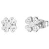 Luca barra Orecchini Donna Earrings