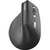 Rapoo Mouse Rapoo EV310M senza fili Ottico 2400dpi Nero [R-13049]