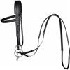 Fenteer Briglie per Cavallo Set Testiera Morso Redini con Imbottitura Antiscivolo Regolabile in PVC con Reggia Resistente Adatto per Maneggio Sessioni di, Array, Nero