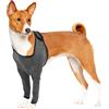 CAPASTEC Manicotti Protettivi Anteriori 1 Pc per Cani Protezione Ferite | Grigio, Poliestere E Spandex, Circonferenza Toracica 44-52cm, Per Recupero Post-Operatorio, Lavabile In Lavatrice