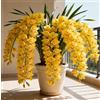 Vnuhgzs Orchidee Cymbidium per Soggiorni - Eleganti e Sontuose - Esaltano lo Stile della Casa - Resistenti Perenni-3 PCS-B