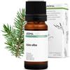 Aroma Labs Abete Bianco BIO (Abies alba) - 10 mL - Olio Essenziale Chemiotipizzato e Certificato AB - Benessere respiratorio - Aroma Labs - Made in France