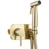 Tecmolog Set doccetta per bidet in acciaio inox doccia da incasso WC doccetta per bidet acqua fredda e calda con tubo doccia 1,5 m, oro spazzolato, WS024J2F2