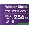 WD Western Digital WD Purple SC QD101 memory card 256 GB MicroSDXC Class 10