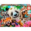 Educa - Puzzle Amici Selfie Occhi Neri | 300 pezzi Puzzle | Animali Divertenti, Bambini | dai 6 anni (18610)