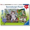 Ravensburger - Puzzles Gattini Soriani Confezioni Da 3 | Puzzle Bambini 5 Anni O Più | Regalo Bimba 5 Anni 3 X 49 Pezzi | Puzzle Bambini 21 X 21 Cm | Puzzles Perfetti Ravensburger