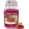 Yankee Candle Scented Candle | Candela in giara grande della Chutney di Mirtilli Rossi | Candele a lunga combustione: fino a 150 ore | Regali di Natale perfetti per le donne