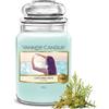 Yankee Candle Candela Profumata | Catching Rays Grande Barattolo | Candele a Lunga Durata: fino a 150 Ore | Regali Perfetti per Donne