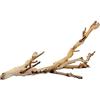 Exo Terra PT-3075 Legno della Foresta Small 30CM Exo Terra Ramo per terrario