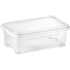 TONTARELLI S.P.A. Tontarelli Contenitore Combi Box 2,5L Trasparente - 26 x 17 x 9,6 cm