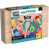 LISCIANIGIOCHI S.P.A. Montessori Work-box, 50 Esperienze, Scatola in Legno, Esperienze Sensoriali, Attività Educative - Lisciani Giochi