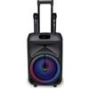 I COM S.P.A. CASSA TROLLEY WIRELESS 2 MICROFONI SENZA FILO, LUCI RGB, TELECOMANDO, DISPLAY, FUNZIONE TWS, 48X29X24 CM