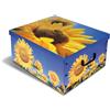 AR.CA SRL BAULE LUX ASSORTITO