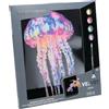 NICE SRL Diamantiny Level Up Jelly Fish - Crystal Art Quadro Medusa con Sfondo Velluto