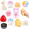 YQXCMR 11 Pezzi Set di Giocattoli Sensoriali Morbidi in TPR, Regalo con Zampa di Gatto, Pulcino, Pinguino, Amoress, Gatto, Biscotto, Pinguino, Fragola e Alpaca, Adulti