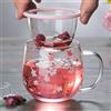 FutureHight, tazza in vetro con infusore di tè, filtro e coperchio, set di tazze da fiori, 300 ml, bicchieri da bere