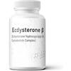 Generico Beta Ecdysterone Blend Per Gli Amanti Del Fitness | Miscela nutrizionale per fitness benessere e sostegno fisico