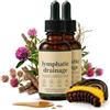 TruuMe Drenaggio Linfatico Gocce,Drenaggio Linfatico Forte,Facile da Usare(2PC) | Equilibrio e Benessere, Drenaggio Naturale, Integratore Linfatico