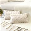 Artscope 2 Pezzi Natalizio Federe in Lana Corta Velluto Copricuscini Morbido Decorativo Fodere per Cuscino Lusso Stile per Divano Camera da Letto Natale Beige 30x50 cm