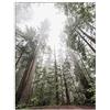 ABCWARRT Montagna Nebbia Foresta Poster Animale Alce Poster Wall Art Canvas Picture Nordic Lake Neve Poster per Soggiorno Camera da Letto Home Decor (30 * 40cm Nessuna Cornice,1)